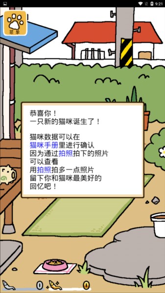 猫咪后院中文版19