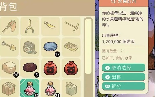 舒适森林灵魂营地