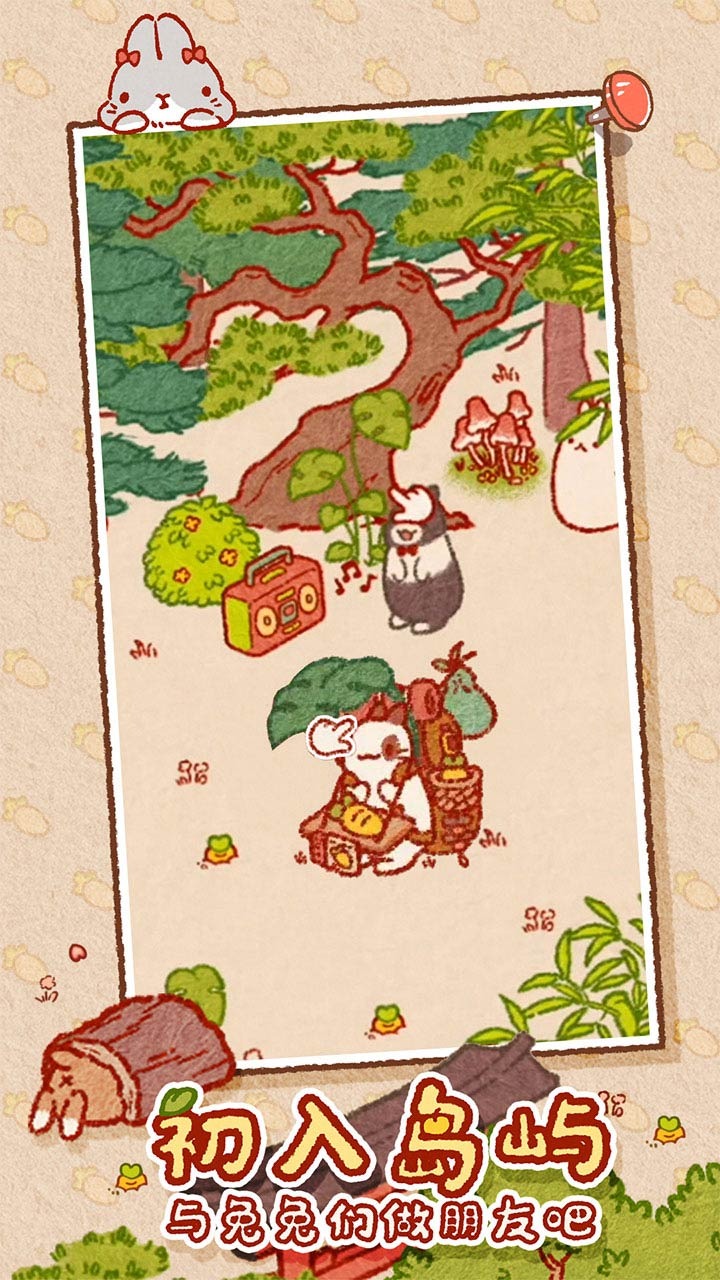 兔兔岛4