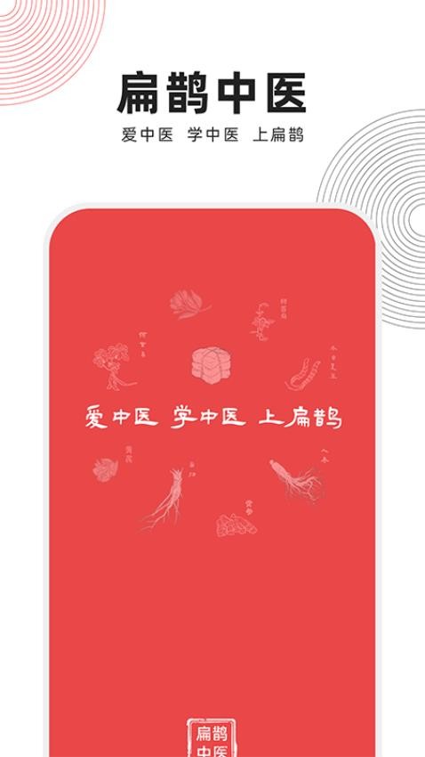 扁鹊中医1